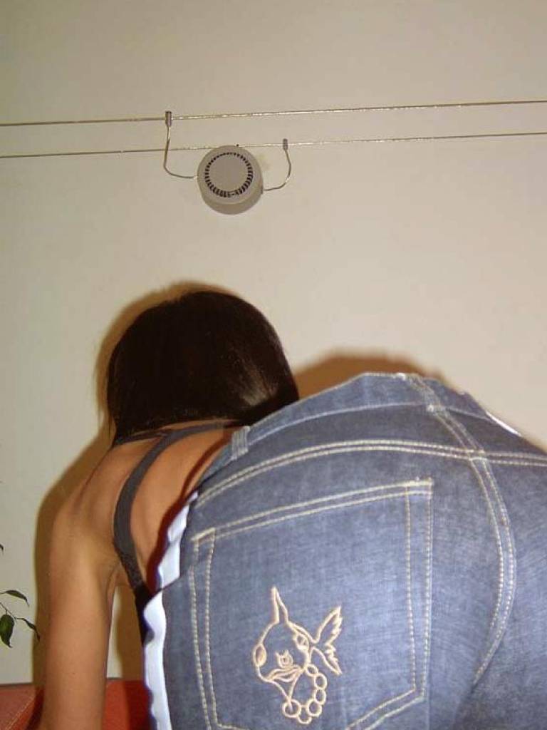 Photo de Silver