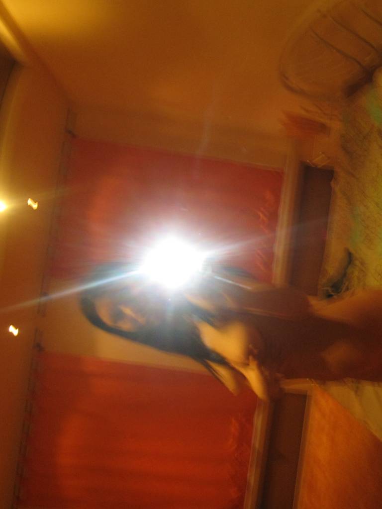 Photo de Tess